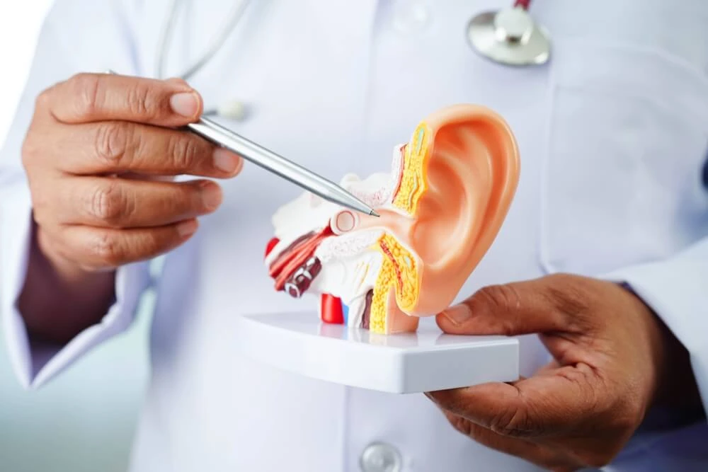 Ear Infection Management